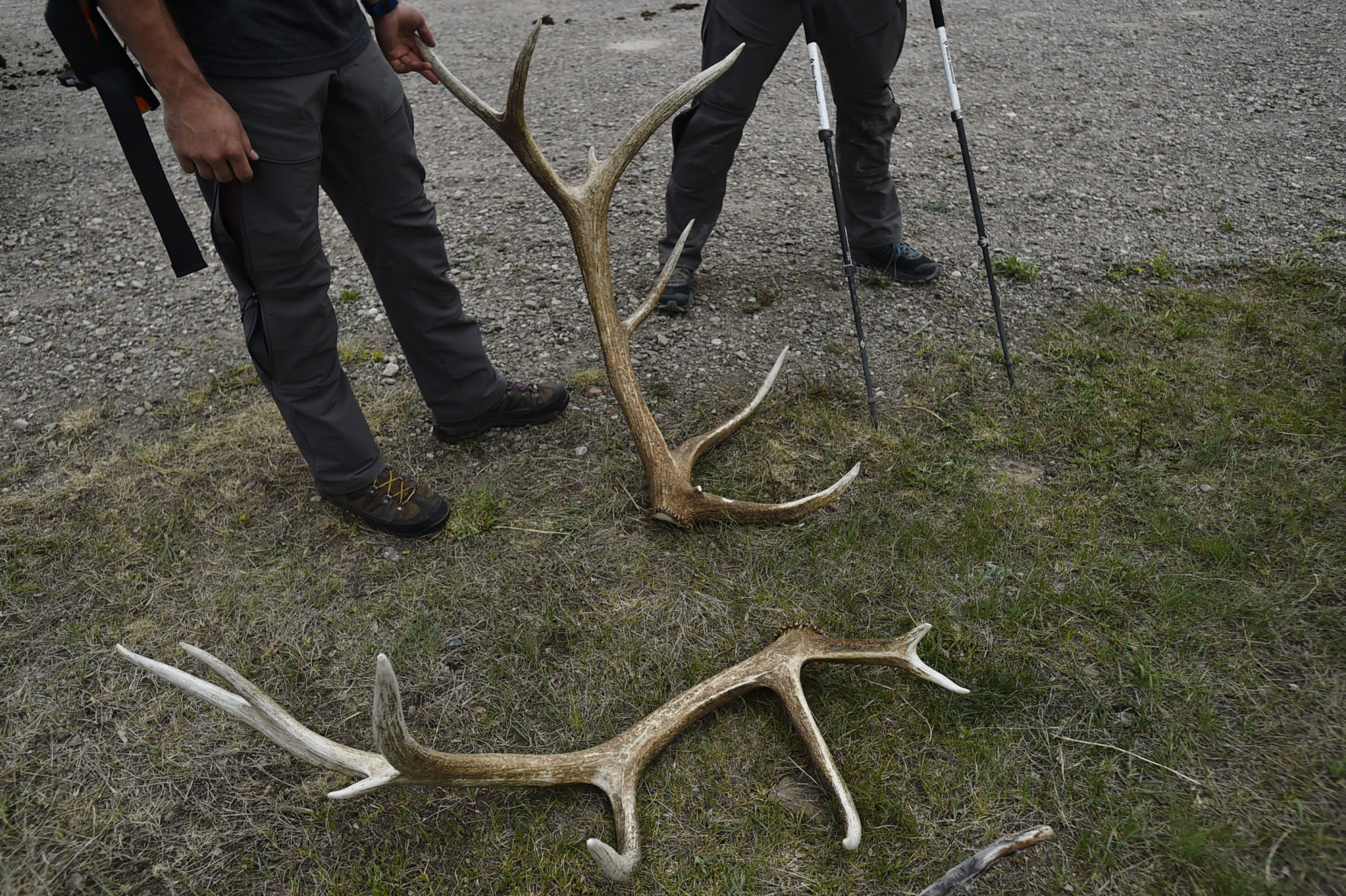 Sun River Shed Hunt